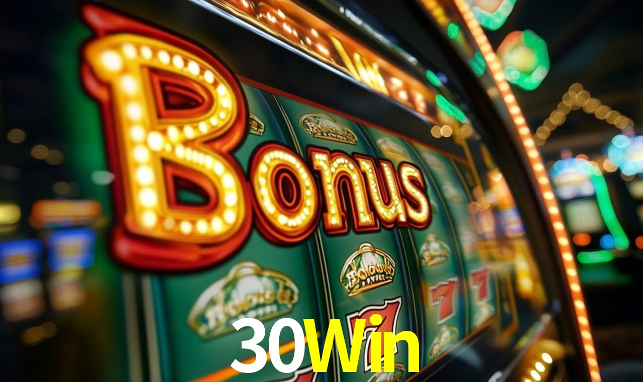 Sistemas de Segurança 30Win